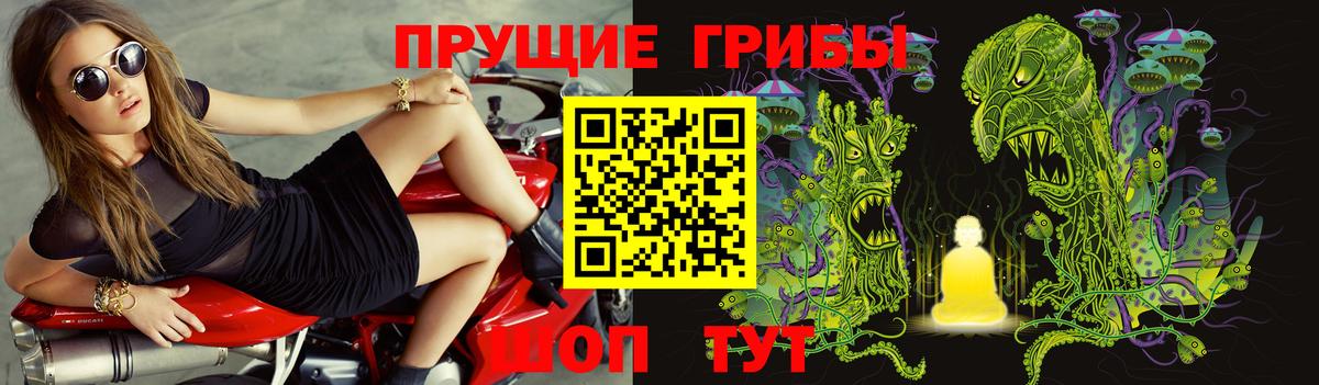 Псилоцибиновые грибы Magic Shrooms  Вход с VPN  цена наркотик  Дальнереченск 